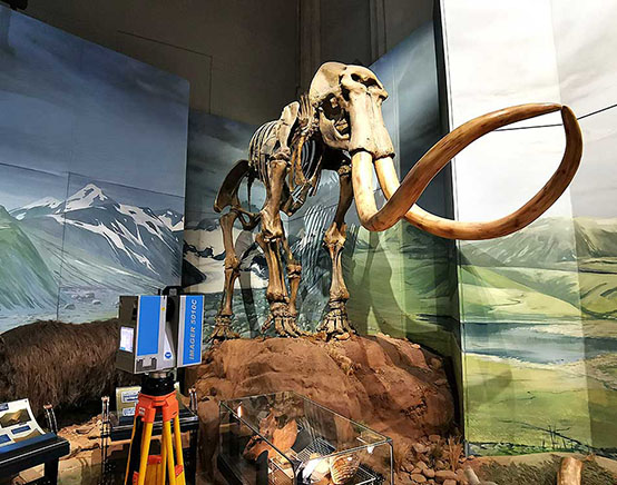 National Museum Cardiff 6