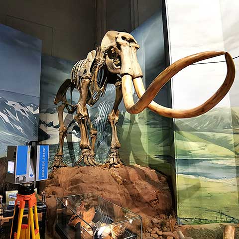 National Museum Cardiff